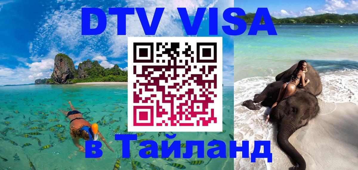 Оформление DTV визы под ключ: стоимость и тарифы, только загранпаспорт - 